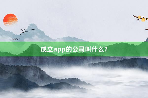 成立app的公司叫什么?